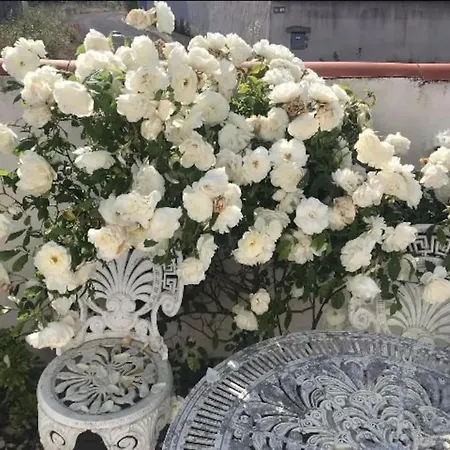 Cosy Mezzanine 2 Personnes De Mardi Gras Le Vieil Ferienhaus *