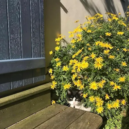 Cosy Mezzanine 2 Personnes De Mardi Gras Le Vieil Le Grand Vieil