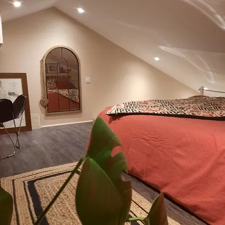 Сasa de vacaciones Cosy Mezzanine 2 Personnes De Mardi Gras Le Vieil *