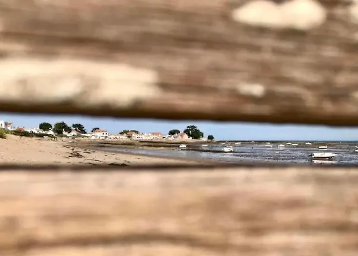 Vakantiehuis Cosy Mezzanine 2 Personnes De Mardi Gras Le Vieil *