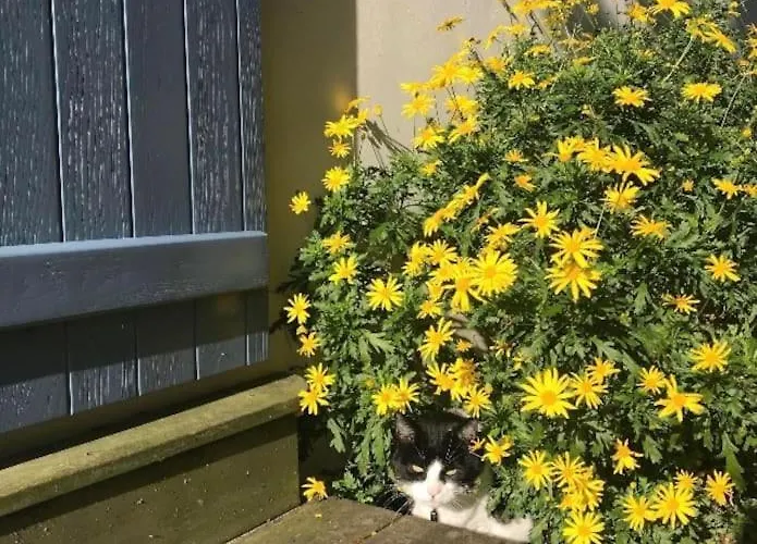 Cosy Mezzanine 2 Personnes De Mardi Gras Le Vieil Le Grand Vieil