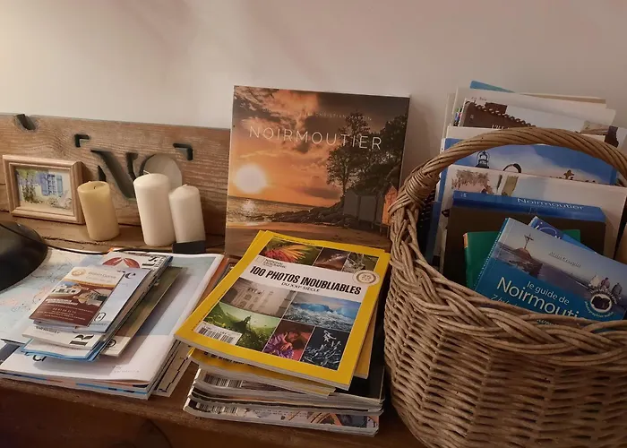 Vakantiehuis Cosy Mezzanine 2 Personnes De Mardi Gras Le Vieil