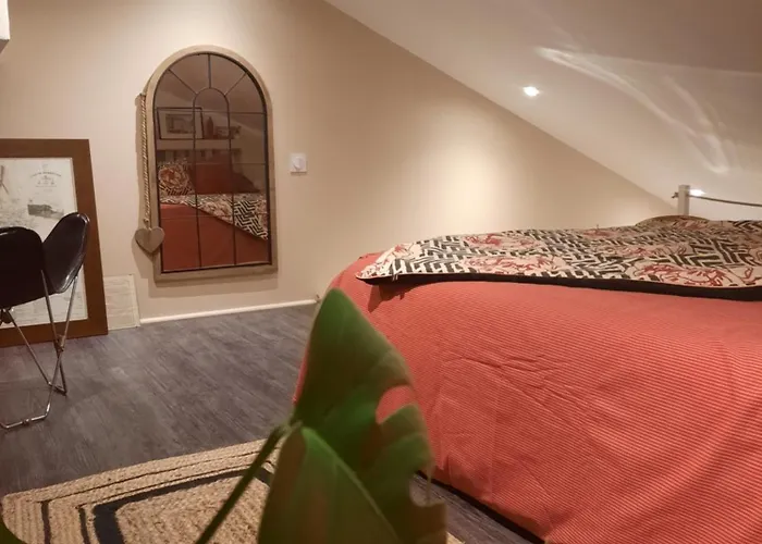 Vakantiehuis Cosy Mezzanine 2 Personnes De Mardi Gras Le Vieil *